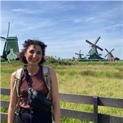 Offro sessioni dedicate di orientamento lavorativo, revisione o costruzione CV e lettera di presentazione